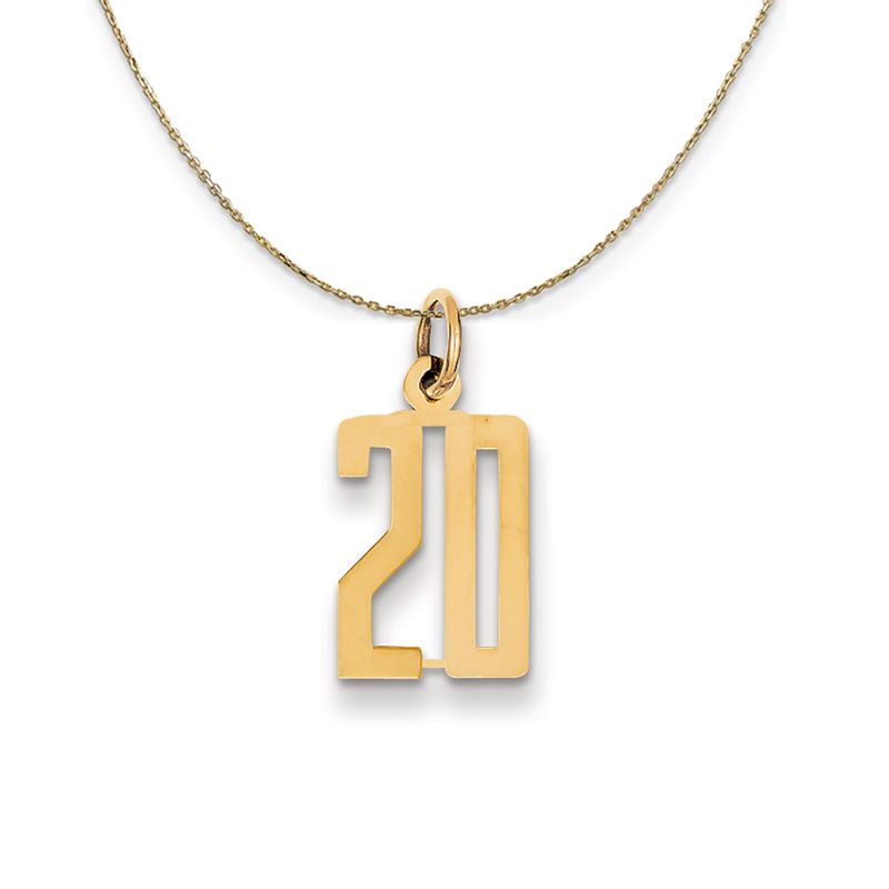 14k Yellow Gold, Alumni Small Elongated Number 20 Necklace - 20 Inch